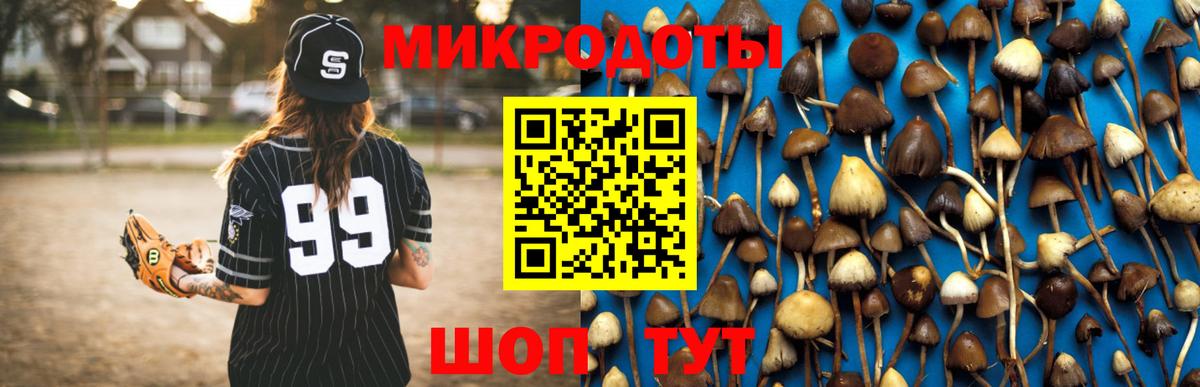 Псилоцибиновые грибы Psilocybine cubensis  Вход с VPN  Карасук 
