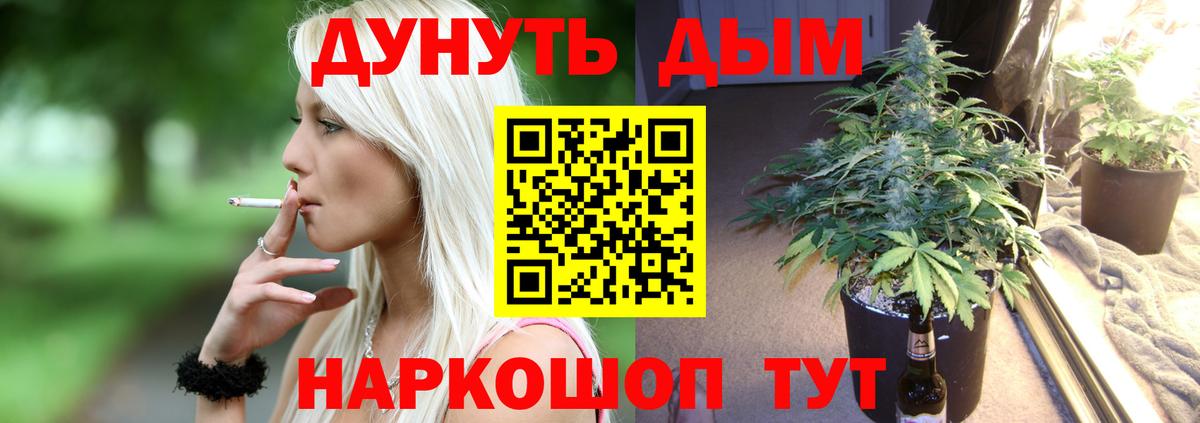 Конопля Amnesia  Каннабис планчик  Бошки Шишки конопля  Вход с VPN  Карасук 